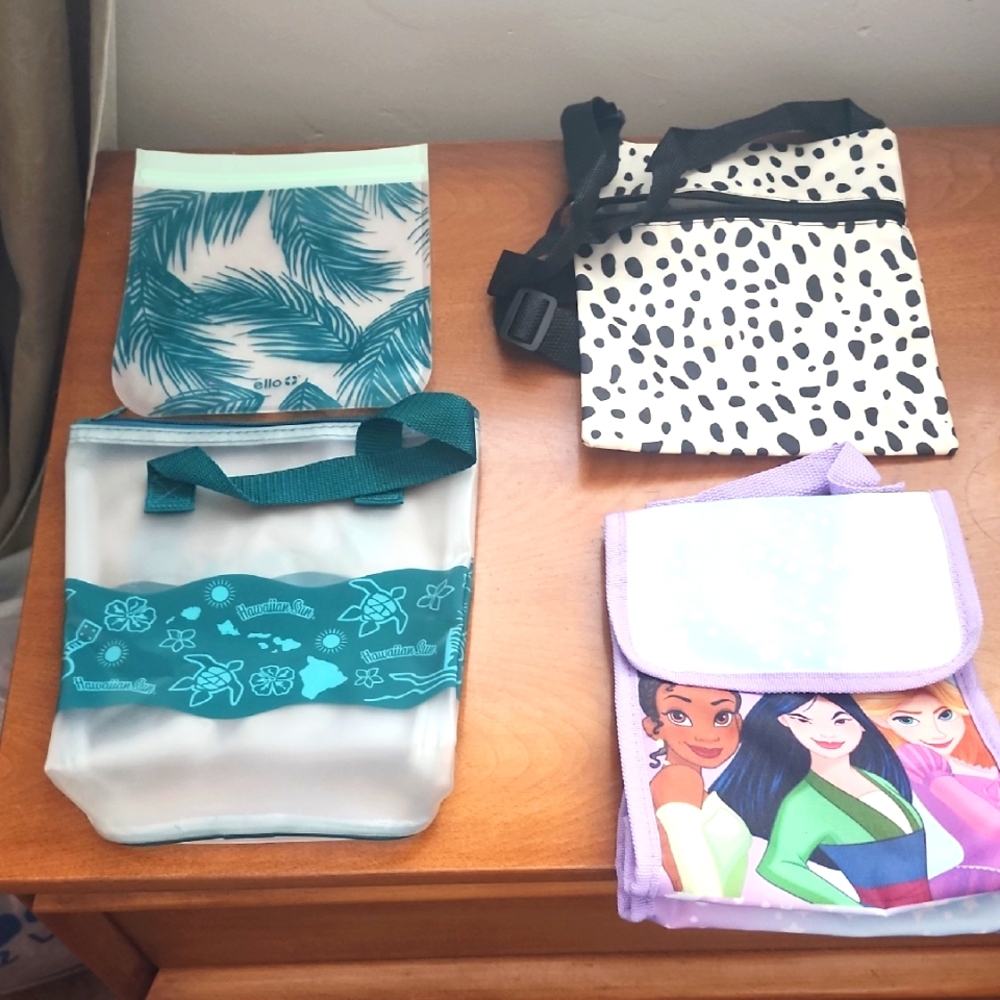 Colorful Lunch Bags and Pouch Set